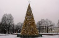 Klaipėda aplenkė Niujorką - jos eglė brangesnė tris kartus