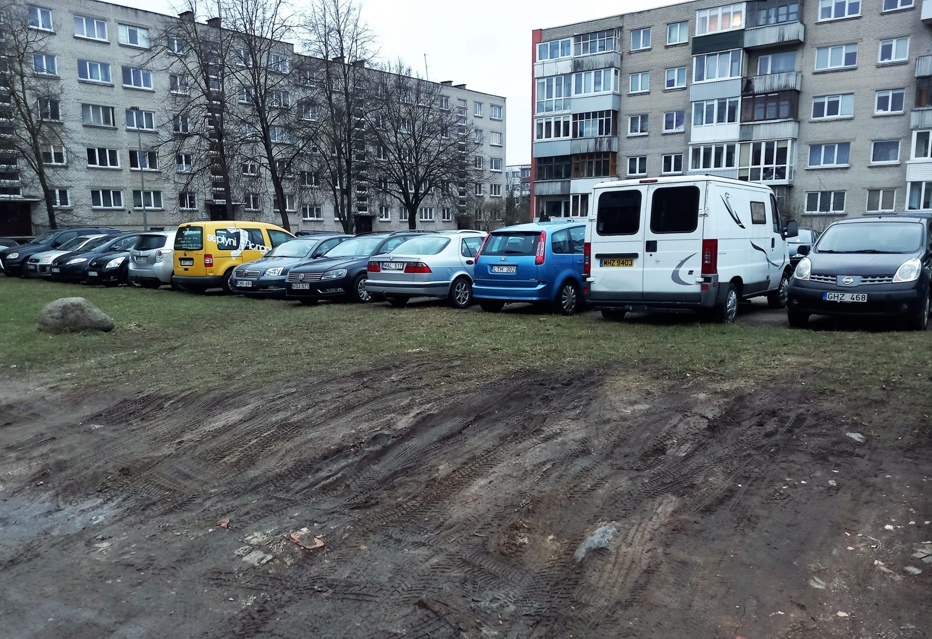 kiemų purvynai